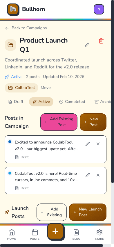 Campaign detail with posts